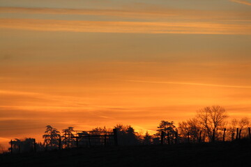 Naklejka premium lever de soleil, aube, clôture, horizon