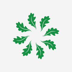 Oak leaf vector logo. Logo templates