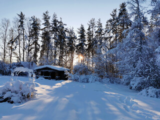 A dark one-story wooden house - a round log bathhouse in the snow among snow-covered trees on a cold clear day.