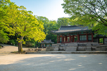 조선의 궁, 봄날의 비원 