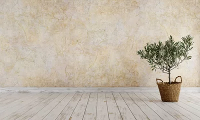 Fototapeten Empty room, olive tree in wicker basket against cracked, ancient wall. 3D render. 3D illustration. © schab