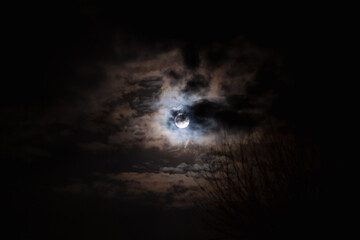The full moon hiding in the cloudy night sky with blurry bare tree branches in silhouette. Dark...