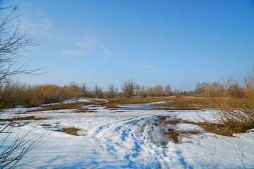 Dry grass in a spring field with the last snow in early spring against a blue sky