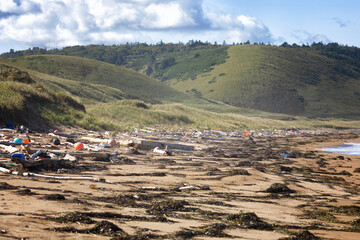 Obraz premium Garbage thrown from the ocean to the shore by the storm