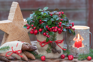 rustikale Weihnachtsdekoration mit Scheinbeere, Holz-Laterne und Tannenzapfen