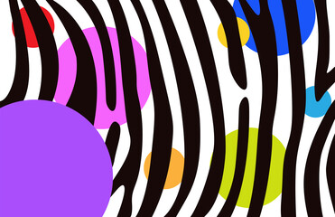 Fototapeta na wymiar Exotic pattern colorful abstract zebra or tiger design. Neon Rainbow circle and black stripes