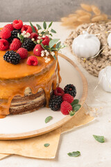 Delicious chocolate cake topped with mascarpone cream and salted caramel. Decorated with red fruits. Light background