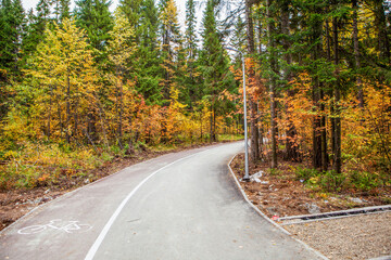 Obraz premium Autumn landscape of a landscaped forest-park zone 