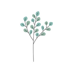 Eucalyptus leaf doodle isolated on white background. Stylized product. Cute design for cards, stickers, invitations. Natural decor. Vector illustration