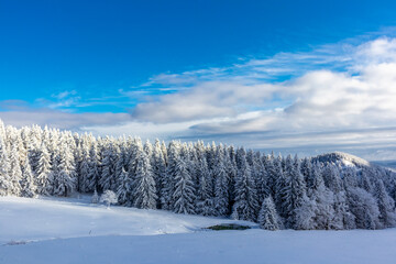 Winterwunderland Thüringer Wald am Schneekopf - Thüringen - Deutschland