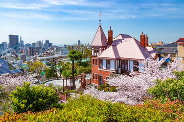 風見鶏の館と満開の桜　神戸市中央区北野異人館街にて - obrazy, fototapety, plakaty