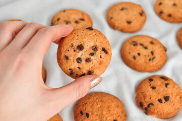 sweet crunchy cookies with dark chocolate for teatime