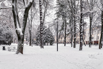 Winter park with trees, cameoes and pavement covered with snow after a snowfall.