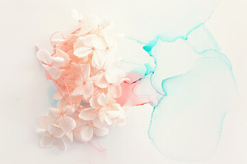 Creative image of pastel pink Hydrangea flowers on artistic ink background. Top view with copy space