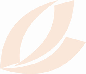 Design Texture Pattern. It can be used for decorating of wedding invitations, Ceramic Tiles, decoration for Textile Cloth and at Saree Design.