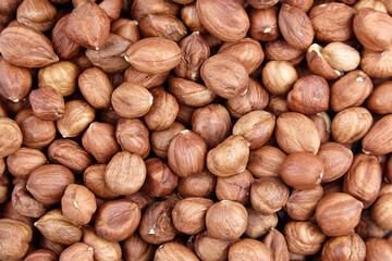 Shelled raw hazelnuts background closeup