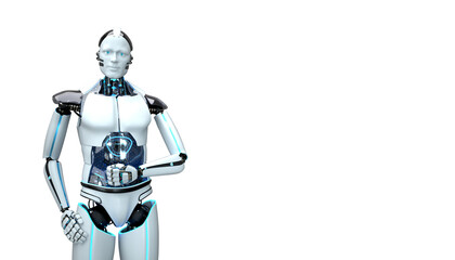 Humanoid Robot