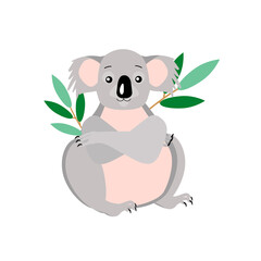 An attractive Australian koala animal on a white background.Vector illustration.