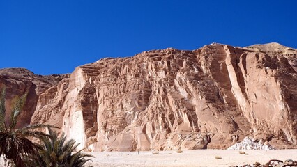Mountain oasis at sinai