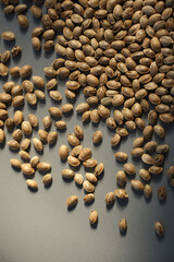 Cannabis seeds close-up. Marijuana seeds on gray background
