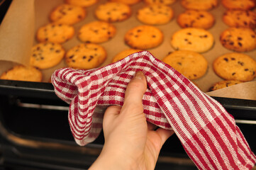 sweet crunchy cookies with dark chocolate for teatime