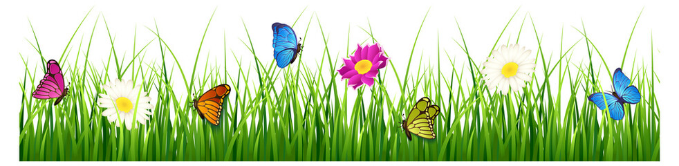 Meadow grass with flowers and butterflies. Decorative seamless border