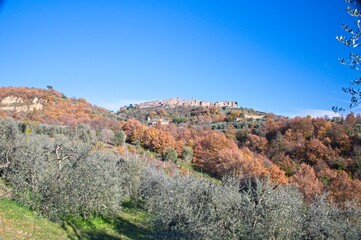 View of Ancient Medieval Mountain Top Village in Umbria