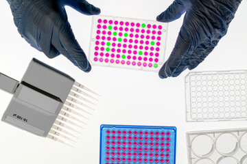 Enzyme-linked immunosorbent assay (ELISA) 96 well micro plate, Immunology or serology testing...