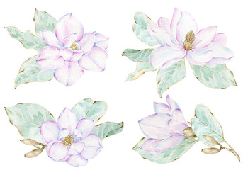 Magnolia bouquets clip art. Watercolor spring floral botanical collection. Elegant magnolia flowers and leaves. Watercolor style hand drawn set.