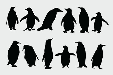 Penguin Silhouette Vector Illustration Design