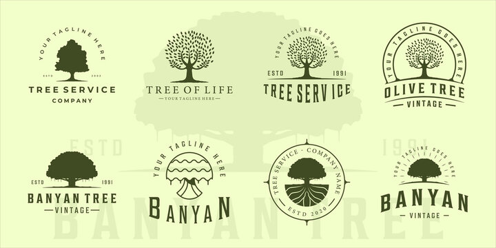 set of olive or banyan tree logo vintage vector illustration template icon graphic design. bundle collection retro green eco and plant environment nature sign or symbol for company with typography
