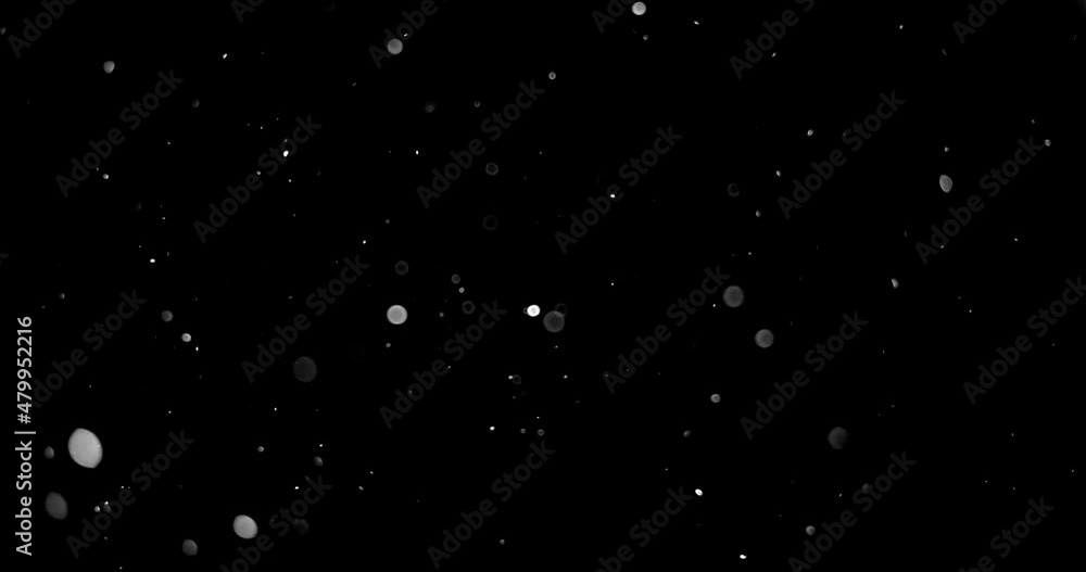 Wall mural natural organic dust particles floating on black background. dynamic dust particles randomly float i