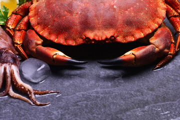 Crab and squid