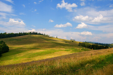 Fototapeta na wymiar Mountain landscape. countryside landscape. beautiful views of the mountains in the summer. green trees and beautiful cloudy sky.