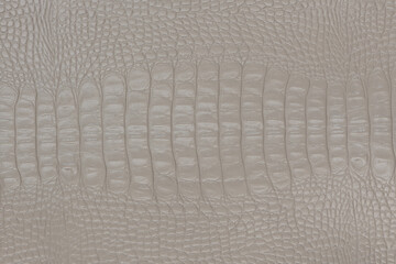 Beige crocodile textured smooth leather surface background, big grain