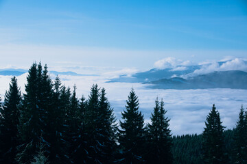 landscape view of winter carpathian mountains