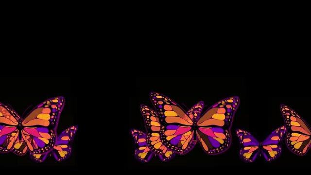 Butterflies. Cells. 4K. Various effects of butterflies with overflows. Animated abstract background.