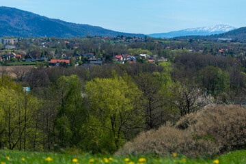 Wiosna w Beskidach, ośnieżony szczyt i ukwiecone łąki.