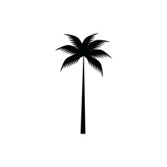 coconut tree icon vector illustration