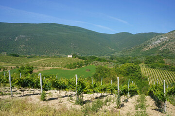 Fototapeta na wymiar Landscape of Terre dei Peligni, Abruzzo, near Vittorito
