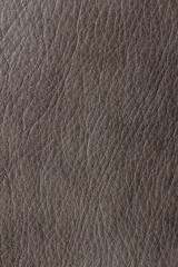 genuine aniline leather