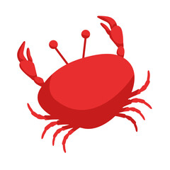 Red crab vector illustration.. Isolated on white background. Sea creature.