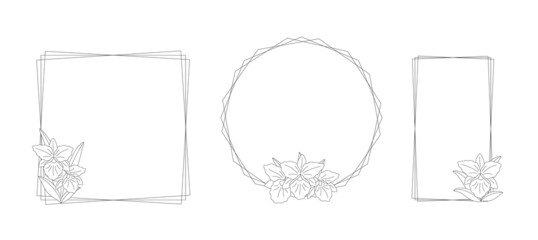 Three different linear frames with orchid flowers (Rhynchosophrocattleya) on a white background. Set of simple elegant frames for your design. Vector line art illustration.