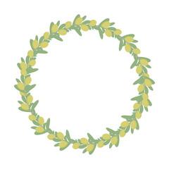 Drawing of a round frame, consisting of olive twigs. A wreath of green olives and leaves. Flat illustration of sprigs of black olives collected in a circle. Vector on white background.