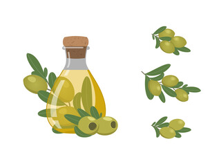 Natural healthy product for healthy food preparation. Set - flat illustration of olive oil in a bottle and olive sprigs. Vector illustration on white background.