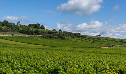 Fototapeta na wymiar Santenay Vineyards Burgundy with Mill