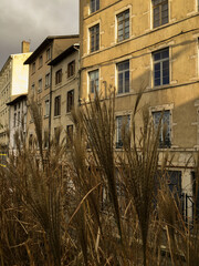 old houses in the city