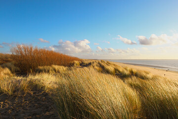 Dunes, beach, marram grass