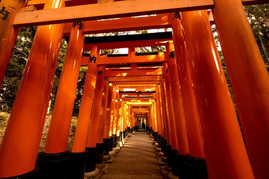 京都：伏見稲荷