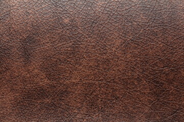 texture of natural aniline leather